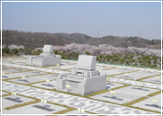 墓所をお求めの方